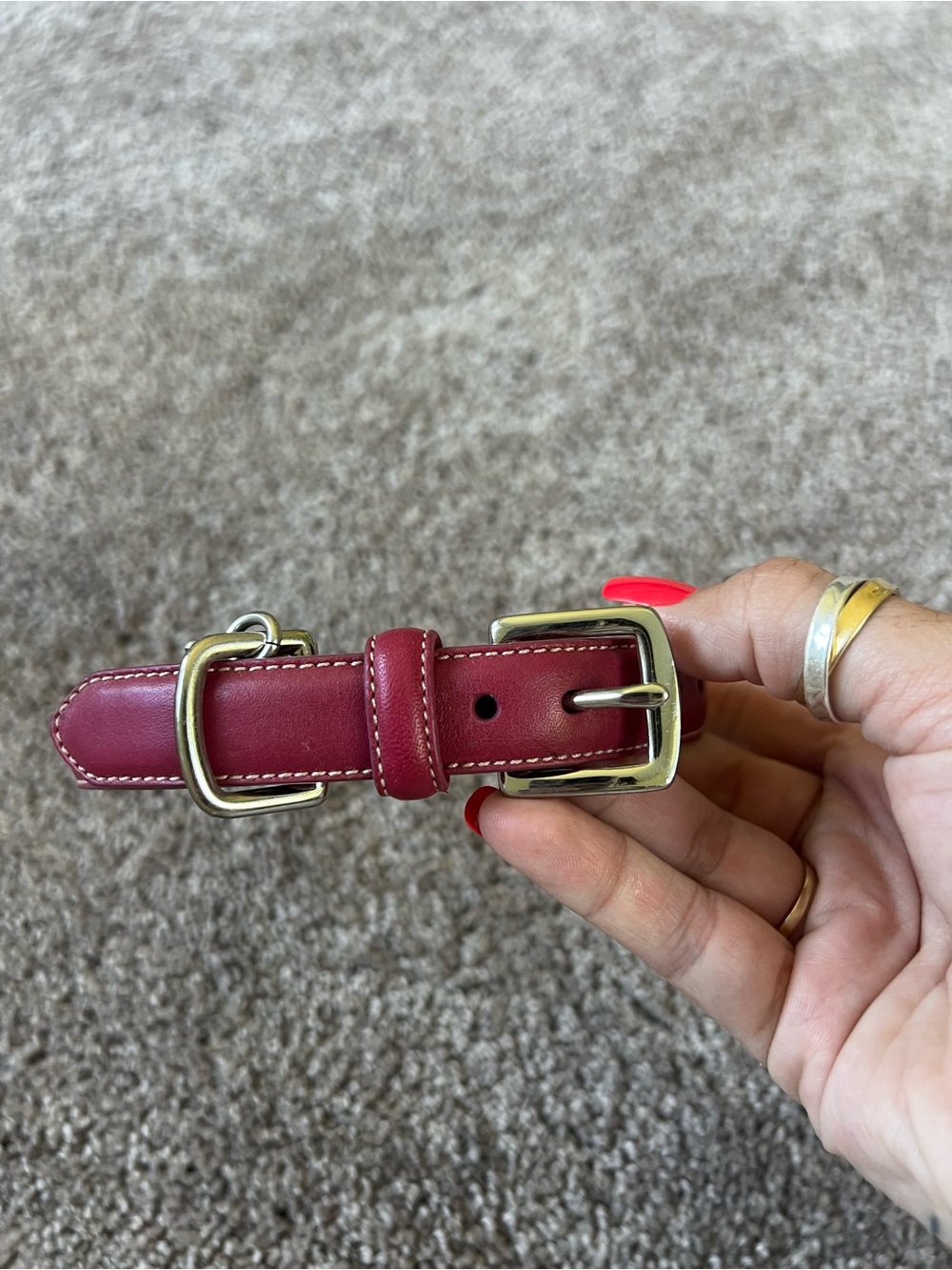 Coach Fuchsia Dog Collar